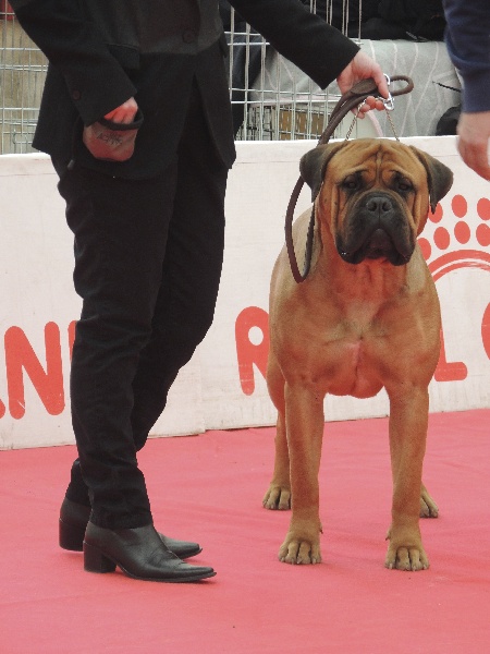 Heroine dit houps Des Falaises Ardentes