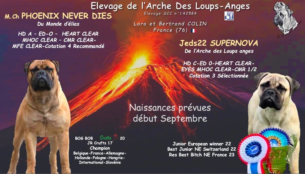 Des bébés attendus pour la rentrée ??