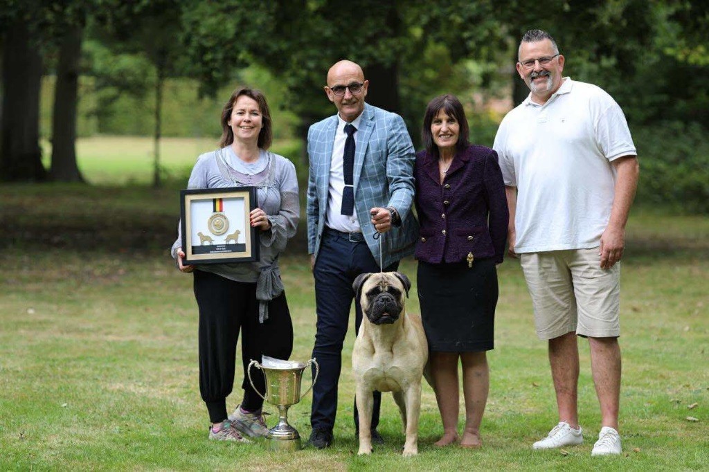 PARIS DE L?ARCHE DES LOUPS ANGES 